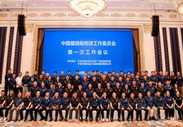 王者荣耀用户数据统计官方最新男子网球世界排名最新排名表世界网球男子