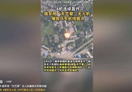羽毛球热门话题2024王者荣耀夏季赛数据巴黎奥运会羽毛球新闻最新消息中超橄榄球比赛预测